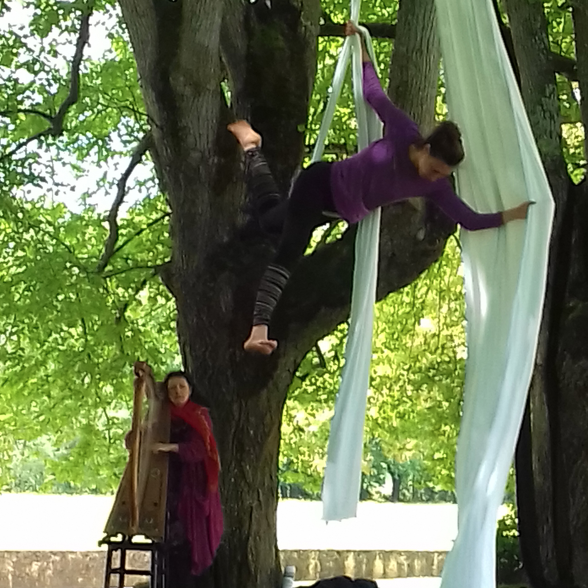 Compagnie Herborescence